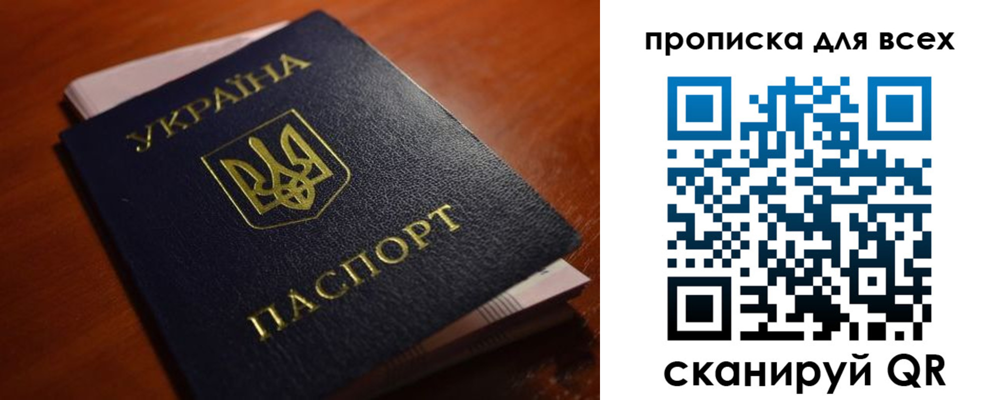 прописка законно в Борзе